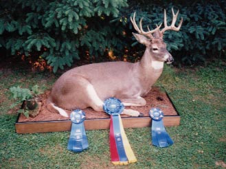 Award Winning Full Body Mount Taxidermy at Moyer's Taxidermy